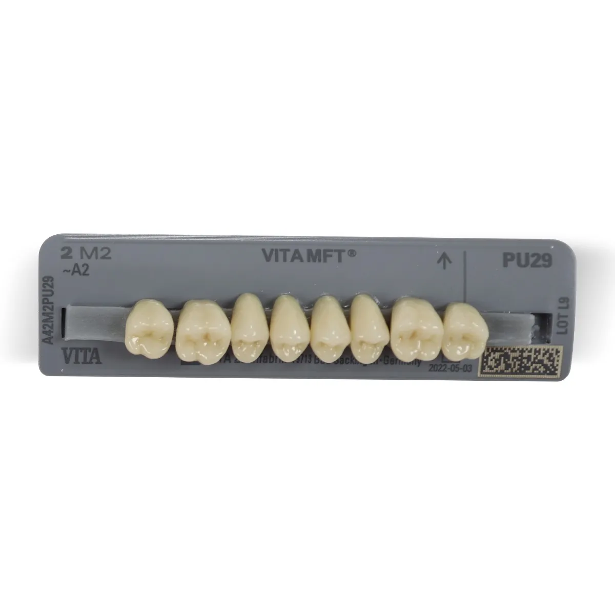 Vita MFT Denture Teeth R42 A1 Set of 28_5.jpg