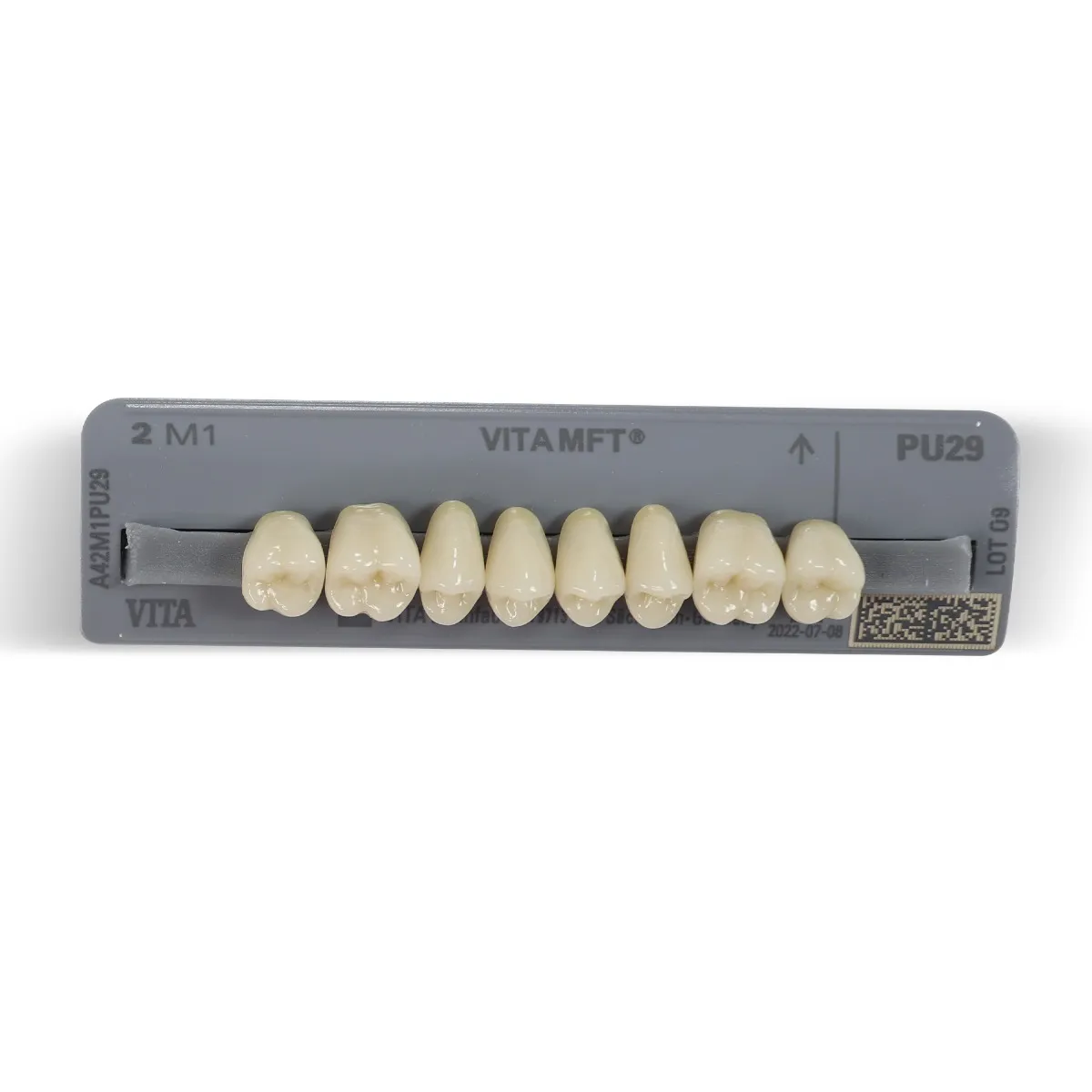Vita MFT Denture Teeth O402M1 Set of 28_5.jpg