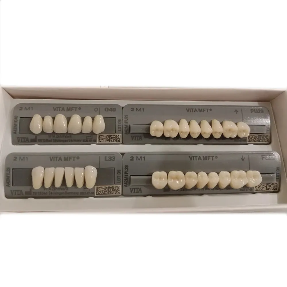 Vita MFT Denture Teeth R422M1 Set of 28_7.jpg