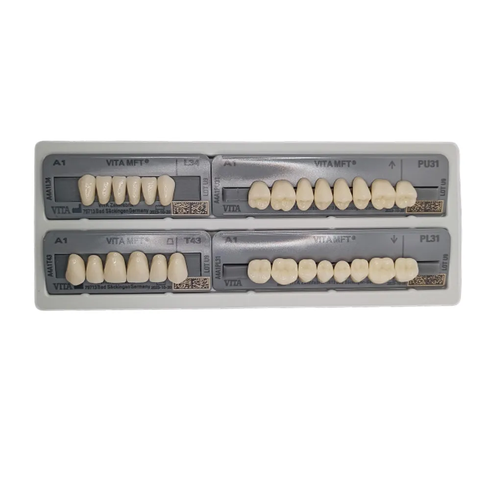 Vita MFT Denture Teeth R422M1 Set of 28_8.jpg