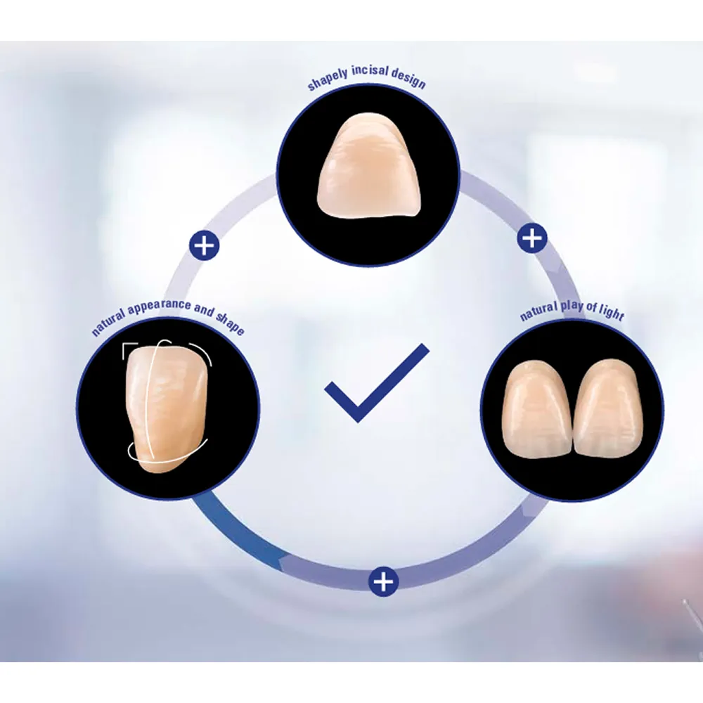 Vita MFT Denture Teeth R422M1 Set of 28_9.jpg