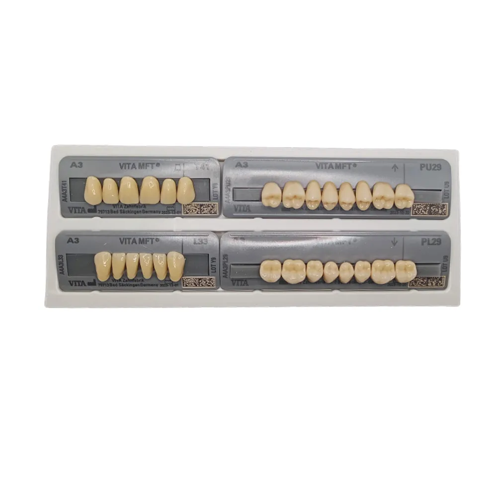 Vita MFT Denture Teeth T43A3 Set of 28_7.jpg