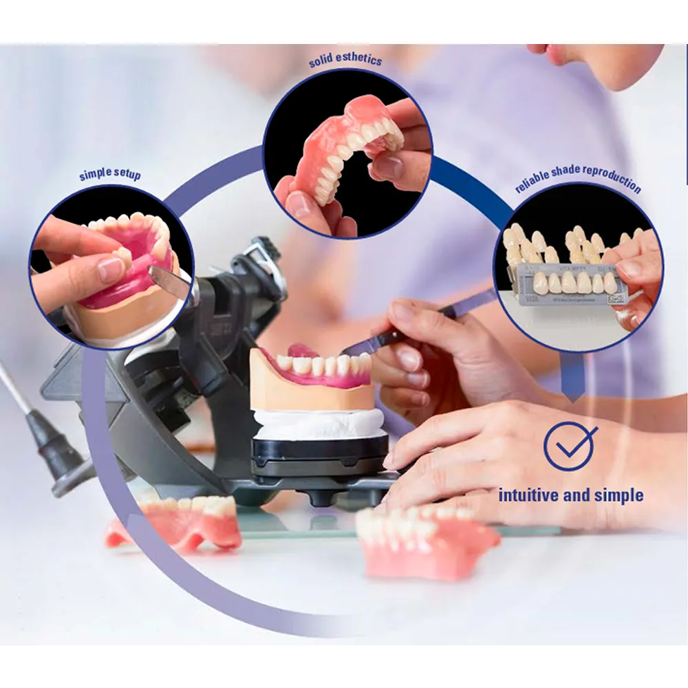 Vita MFT Denture Teeth T432M2 Set of 28_10.jpg