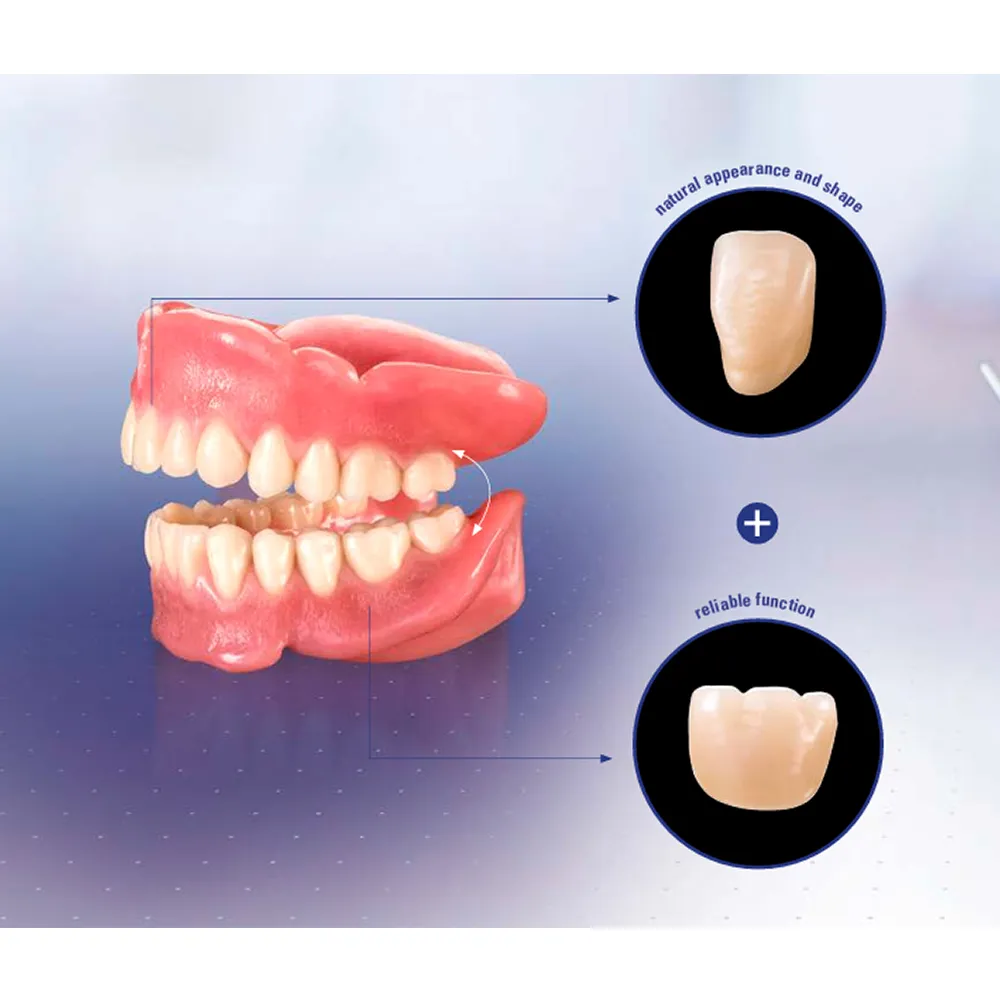 Vita MFT Denture Teeth T431M1 Set of 28_8.jpg