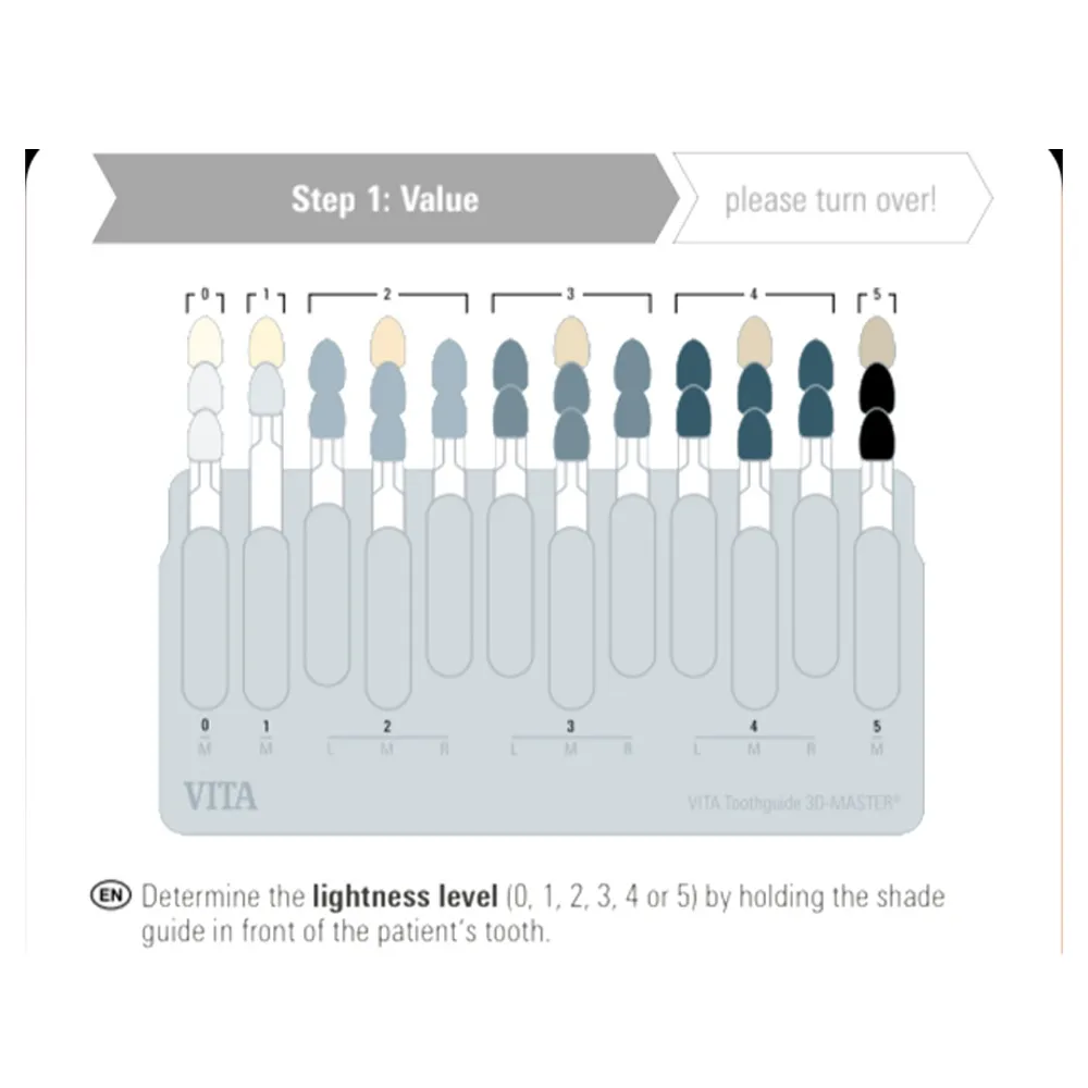 Vita Toothguide 3d-Master With Bleached Shades